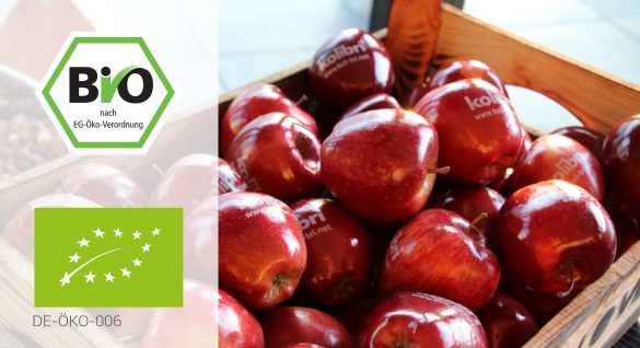 Bio-Siegel-Apfel
